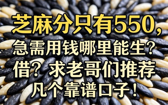 芝麻分只有550,急需用钱哪里能借?求老哥们推荐几个靠谱口子!