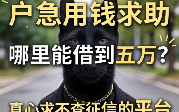 黑户急用钱求助:哪里能借到五万?真心求不查征信的平台推荐!