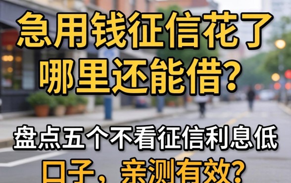 急用钱征信花了哪里还能借？盘点五个不看征信利息低的口子，亲测有效！