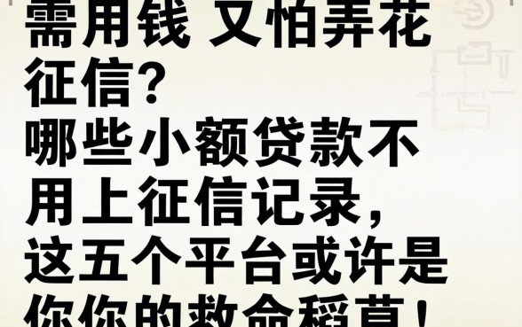 急需用钱又怕弄花征信？哪些小额贷款不用上征信记录，这五个平台或许是你的救命稻草！