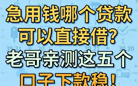 急用钱哪个贷款可以直接借?老哥亲测这五个口子下款稳!