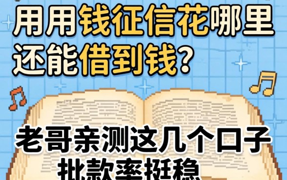 急用钱征信花哪里还能借到钱？老哥亲测这几个口子批款率挺稳