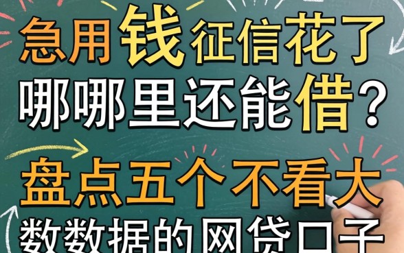 急用钱征信花了哪里还能借？盘点五个不看大数据的网贷口子