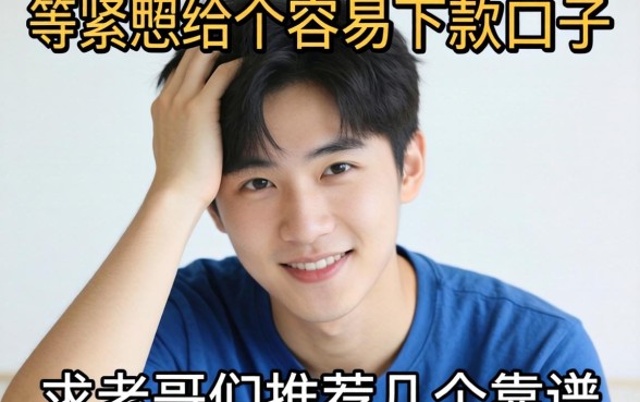 手头紧想找个容易下款的口子，求老哥们推荐几个靠谱的！