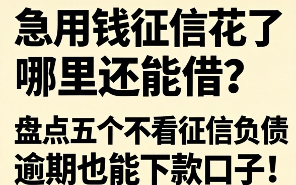 急用钱征信花了哪里还能借?盘点五个不看征信负债逾期也能下款的口子!