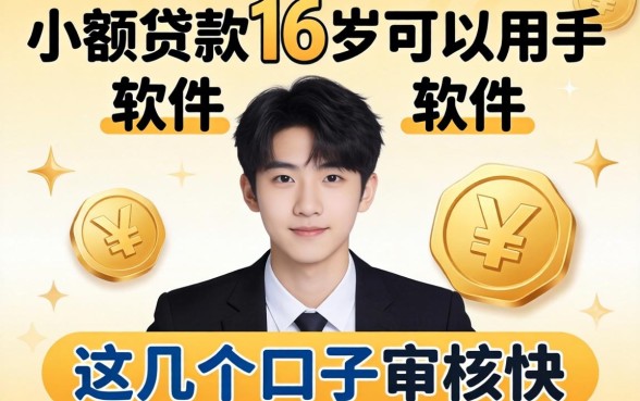 揭秘小额贷款16岁可以用的软件，这几个口子审核快