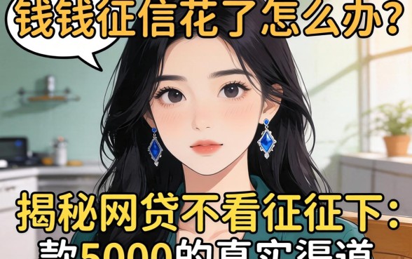 急需用钱征信花了怎么办？揭秘网贷不看征信下款5000的真实渠道与风险