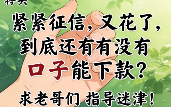 手头紧征信又花了,到底还有没有口子能下款?求老哥们指点迷津!