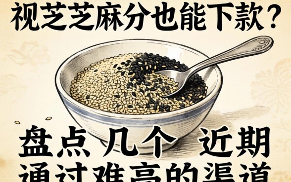 无视芝麻分也能下款？盘点几个近期通过率高的渠道