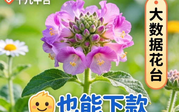 我试了十几个平台发现大数据花其实也能下款