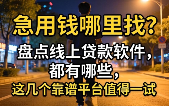 深夜急用钱哪里找？盘点线上贷款软件都有哪些，这几个靠谱平台值得一试