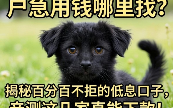 黑户急用钱哪里找？揭秘百分百不拒的低息口子，亲测这几家真能下款！