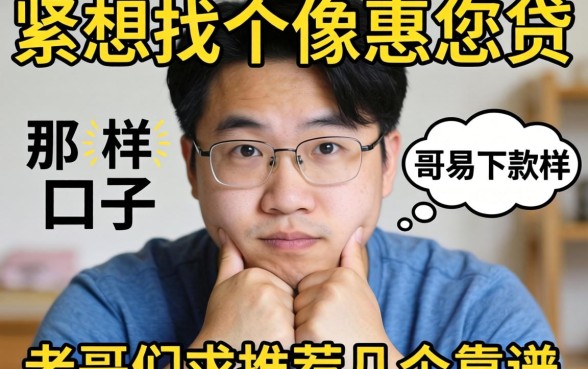 手头紧想找个像惠您贷那样容易下款的口子，老哥们求推荐几个靠谱的！