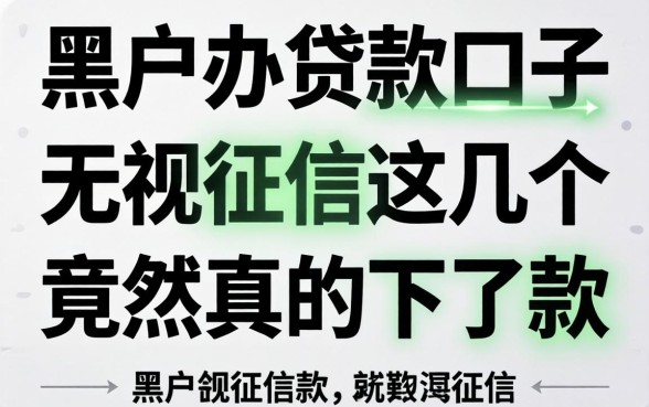 揭秘黑户办的贷款口子:无视征信这几个竟然真的下了款