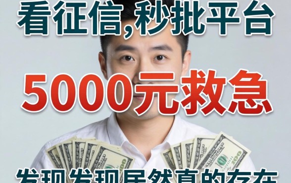 我借了5000元救急，发现不看征信的秒批平台居然真的存在