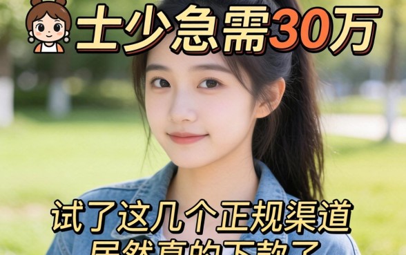 我20岁急需30万，试了这几个正规渠道居然真的下款了