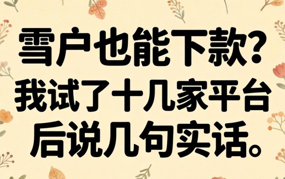 黑户也能下款？我试了十几家平台后说几句实话