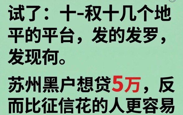 我试了十几个平台，发现苏州黑户想贷5万，反而比征信花的人更容易