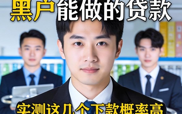 网贷黑户能做的贷款有哪些？实测这几个下款概率高