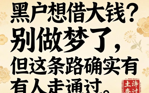 黑户想借大钱？别做梦了，但这条路确实有人走通过