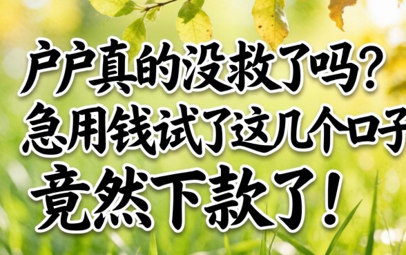 黑户真的没救了吗？急用钱试了这几个口子竟然下款了！