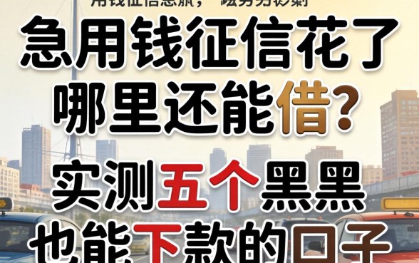 急用钱征信花了哪里还能借？实测五个黑户也能下款的口子分享