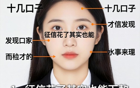 我翻了十几个口子才发现，征信花了其实也能下款