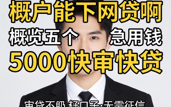 有没有黑户能下的网贷啊，概览五个急用钱5000快审快贷无需征信口子