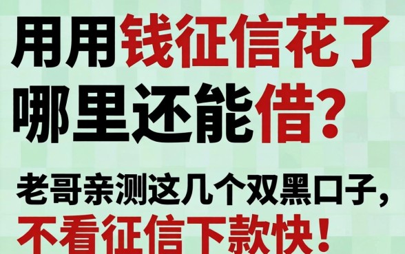 急用钱征信花了哪里还能借？老哥亲测这几个双黑口子，不看征信下款快！