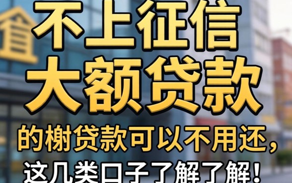 揭秘不上征信的大额贷款可以不用还的，这几类口子了解一下