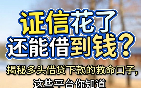 征信花了还能借到钱吗？揭秘多头借贷下款的救命口子，这些平台你知道吗？