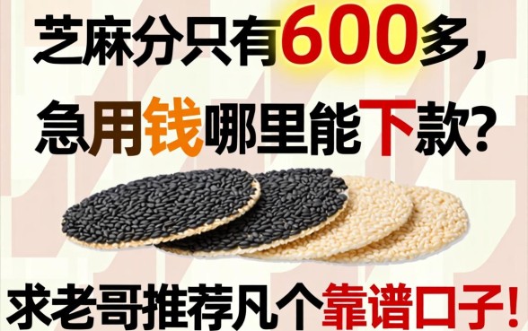 芝麻分只有600多,急用钱哪里能下款?求老哥推荐几个靠谱口子!
