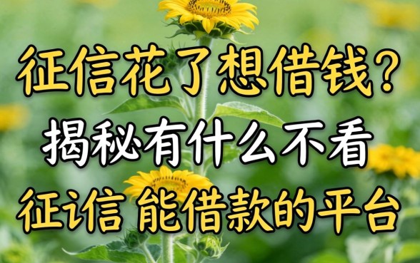 征信花了想借钱？揭秘有什么不看征信能借款的平台