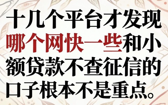 我试了十几个平台才发现，哪个网快一些和小额贷款不查征信的口子根本不是重点