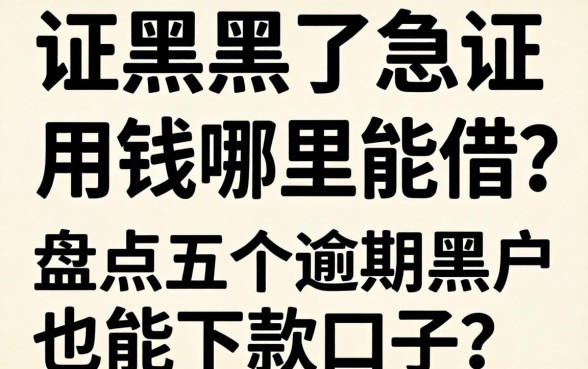 征信黑了急用钱哪里能借？盘点五个逾期黑户也能下款的口子