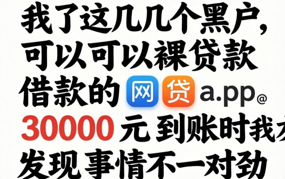 我试了几个黑户可以借款的网贷app，3000元到账时我才发现事情不对劲