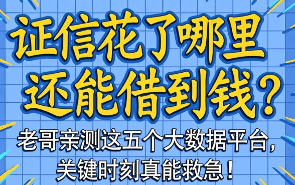 征信花了哪里还能借到钱？老哥亲测这五个大数据平台，关键时刻真能救急！