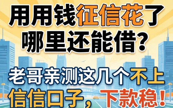 急用钱征信花了哪里还能借？老哥亲测这几个不上征信的口子，下款稳！