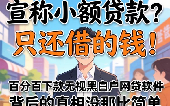 我试了那些宣称小额贷款只还借的钱的平台，发现百分百下款无视黑白户网贷软件背后的真相没那么简单