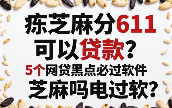 芝麻分611可以贷款吗，整合5个网贷黑户必过软件