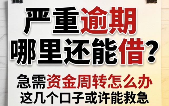 黑户严重逾期哪里还能借？急需资金周转怎么办？这几个口子或许能救急