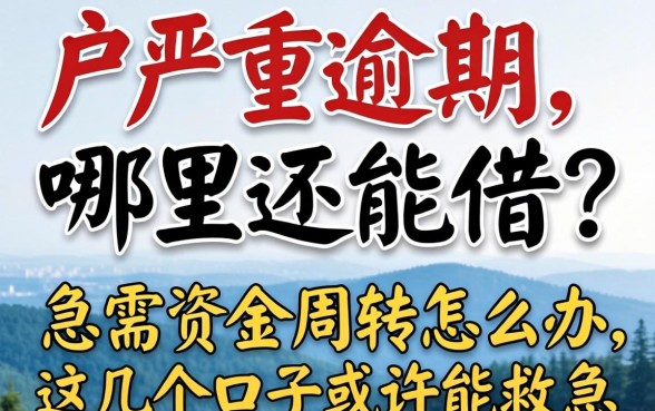 黑户严重逾期哪里还能借？急需资金周转怎么办？这几个口子或许能救急