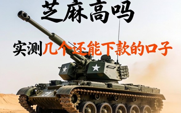 有不看芝麻的高炮吗？实测几个还能下款的口子