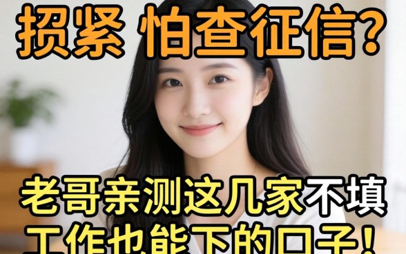 手头紧又怕查征信？老哥亲测这几家不填工作也能下的口子！