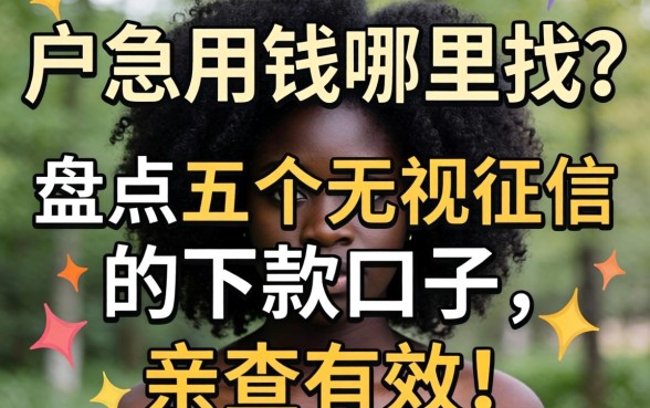 黑户急用钱哪里找？盘点五个无视征信的下款口子，亲测有效！