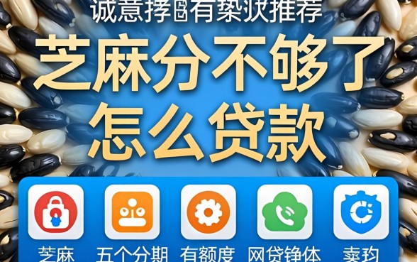 芝麻分不够了怎么贷款，诚意推荐五个分期有额度的网贷软件