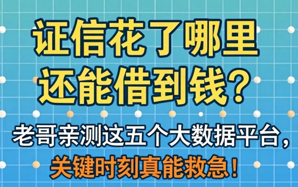 征信花了哪里还能借到钱？老哥亲测这五个大数据平台，关键时刻真能救急！