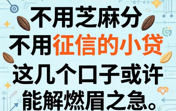 揭秘不用芝麻分不用征信的小贷，这几个口子或许能解燃眉之急