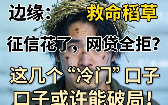 绝望边缘的救命稻草：征信花了、网贷全拒？这几个“冷门”口子或许能破局！
