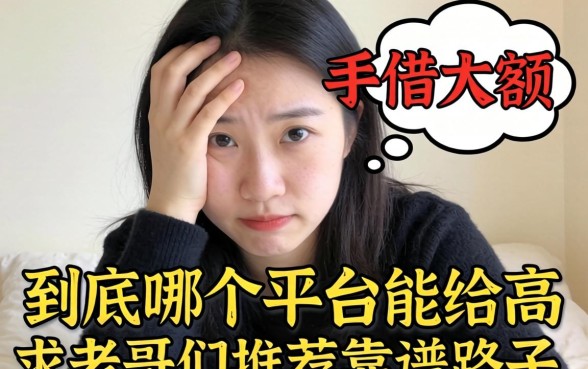 手头紧想借个大额，到底哪个平台能给的高？求老哥们推荐靠谱路子！